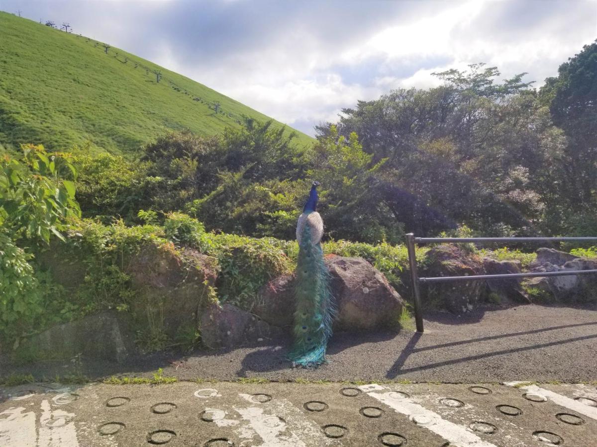 Villa スマートステイ大室山3合目 Futo Esterno foto